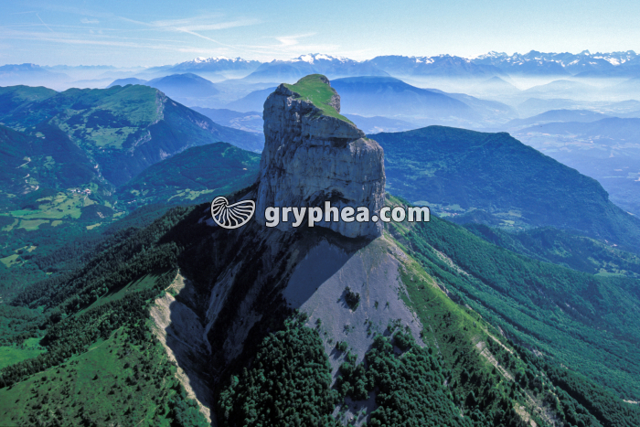 Mont Aiguille - gryphea.org